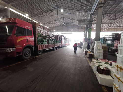 北京市农产品运入量分析 蔬果大幅增长，水产品波动稳定