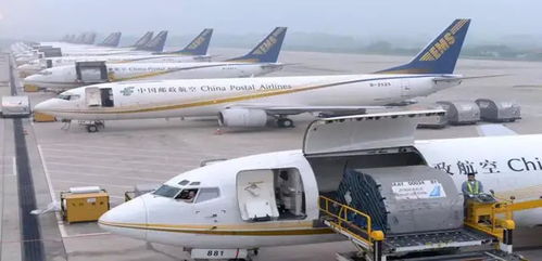 你以为他慢，那是MAN 城市配送运输服务的精准与从容